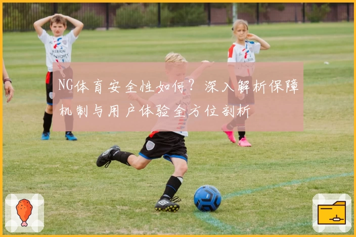 NG体育安全性如何？深入解析保障机制与用户体验全方位剖析