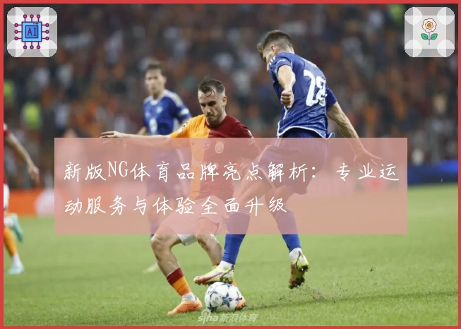 新版NG体育品牌亮点解析：专业运动服务与体验全面升级