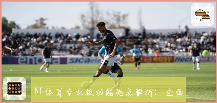 NG体育专业版功能亮点解析：全面升级带来沉浸式运动体验