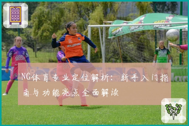 NG体育专业定位解析：新手入门指南与功能亮点全面解读