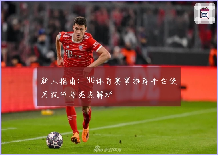 新人指南：NG体育赛事推荐平台使用技巧与亮点解析