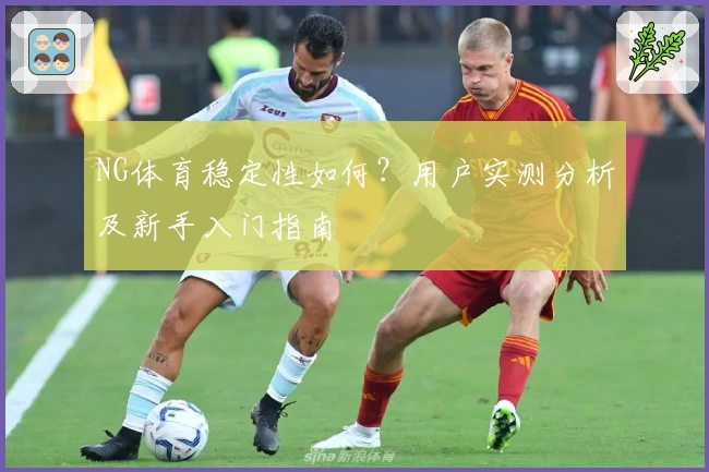NG体育稳定性如何？用户实测分析及新手入门指南