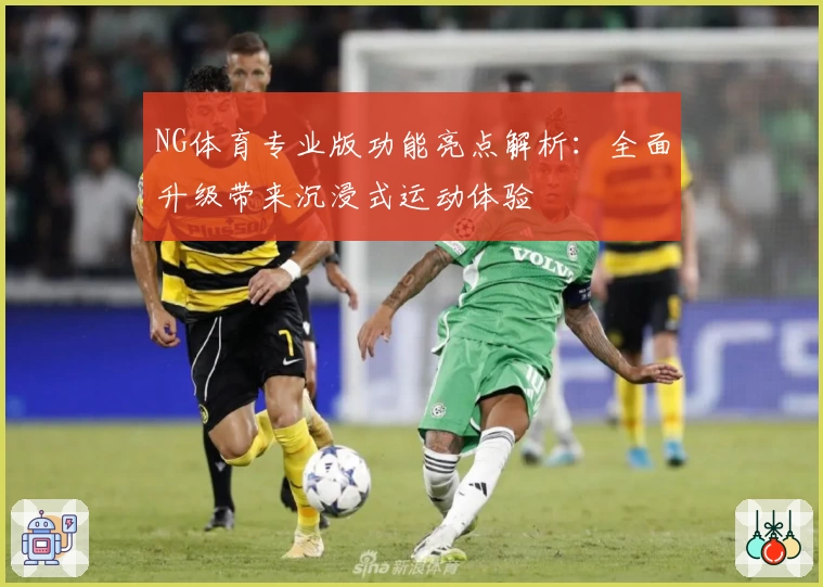 NG体育专业版功能亮点解析：全面升级带来沉浸式运动体验